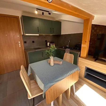 Apartamenty Pod Skosami Zakopane Esterno foto