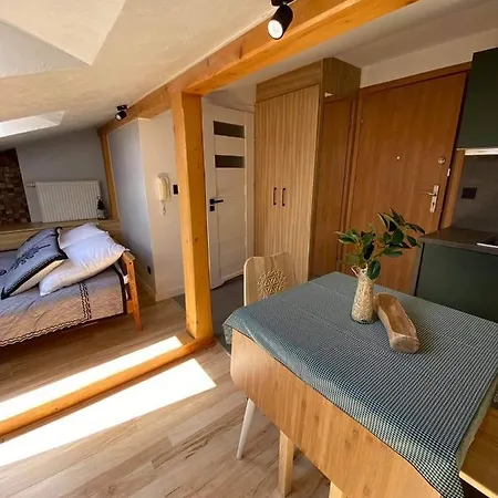 Apartamenty Pod Skosami Zakopane Esterno foto